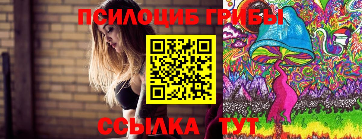 Псилоцибиновые грибы GOLDEN TEACHER Светлоград